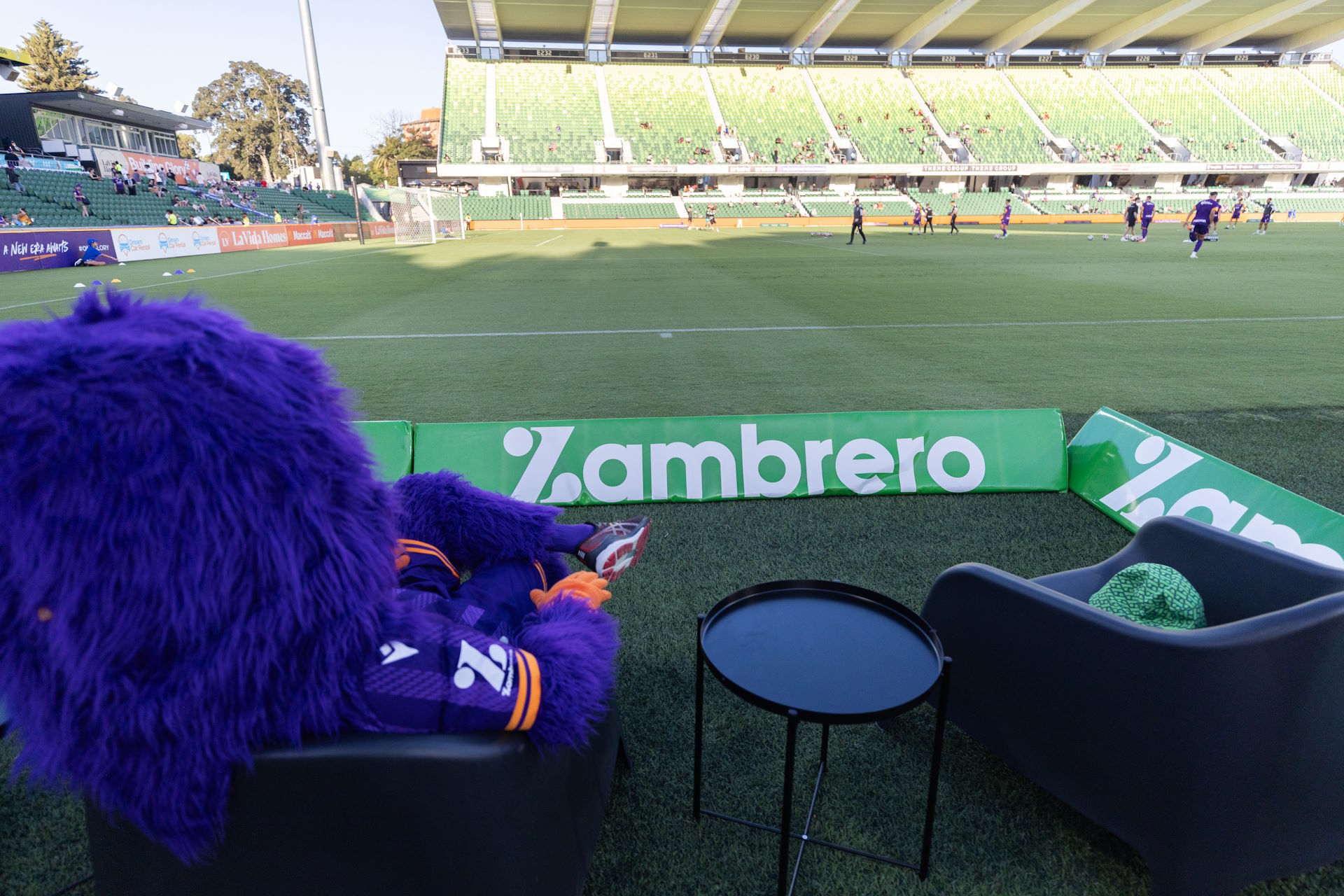 Pitchside Experience